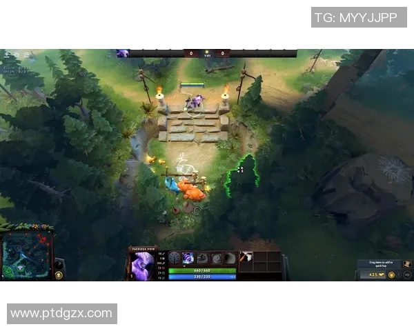 深度探讨杨丽在DOTA2世界中的成长与挑战之路